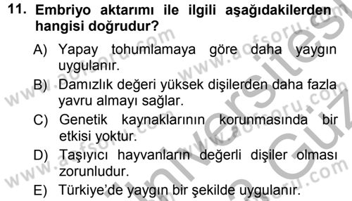 Hayvan Yetiştirme Dersi 2012 - 2013 Yılı (Vize) Ara Sınav Soruları 11. Soru