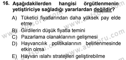 Hayvan Yetiştirme Dersi 2012 - 2013 Yılı (Vize) Ara Sınav Soruları 16. Soru