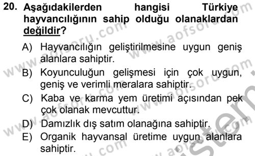 Hayvan Yetiştirme Dersi 2012 - 2013 Yılı (Vize) Ara Sınav Soruları 20. Soru