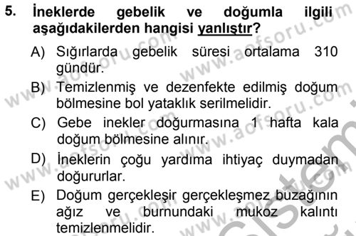 Hayvan Yetiştirme Dersi 2012 - 2013 Yılı (Vize) Ara Sınav Soruları 5. Soru