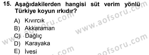 Hayvan Yetiştirme Dersi 2012 - 2013 Yılı (Final) Dönem Sonu Sınav Soruları 15. Soru