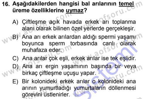 Hayvan Yetiştirme Dersi 2012 - 2013 Yılı (Final) Dönem Sonu Sınav Soruları 16. Soru