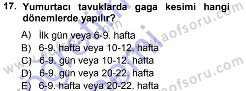 Hayvan Yetiştirme Dersi 2012 - 2013 Yılı (Final) Dönem Sonu Sınav Soruları 17. Soru