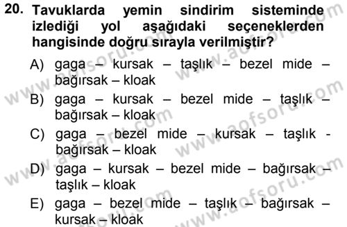 Hayvan Yetiştirme Dersi 2012 - 2013 Yılı (Final) Dönem Sonu Sınav Soruları 20. Soru