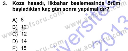 Hayvan Yetiştirme Dersi 2012 - 2013 Yılı (Final) Dönem Sonu Sınav Soruları 3. Soru