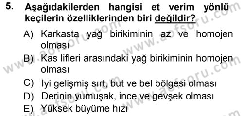 Hayvan Yetiştirme Dersi 2012 - 2013 Yılı (Final) Dönem Sonu Sınav Soruları 5. Soru