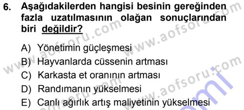 Hayvan Yetiştirme Dersi 2012 - 2013 Yılı (Final) Dönem Sonu Sınav Soruları 6. Soru