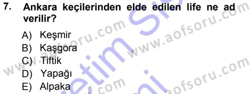 Hayvan Yetiştirme Dersi 2012 - 2013 Yılı (Final) Dönem Sonu Sınav Soruları 7. Soru