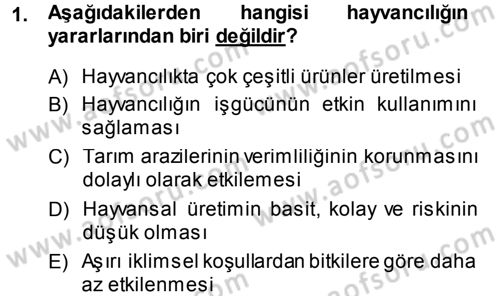 Hayvan Yetiştirme Dersi 2013 - 2014 Yılı (Vize) Ara Sınav Soruları 1. Soru