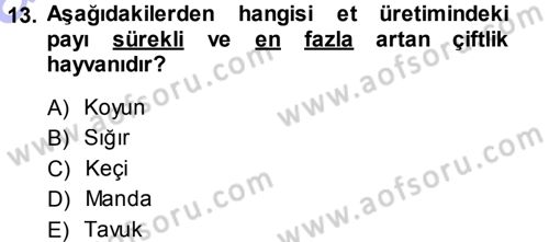 Hayvan Yetiştirme Dersi 2013 - 2014 Yılı (Vize) Ara Sınav Soruları 13. Soru