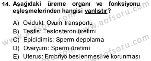 Hayvan Yetiştirme Dersi 2013 - 2014 Yılı (Vize) Ara Sınav Soruları 14. Soru
