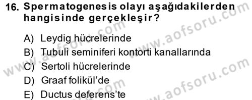 Hayvan Yetiştirme Dersi 2013 - 2014 Yılı (Vize) Ara Sınav Soruları 16. Soru