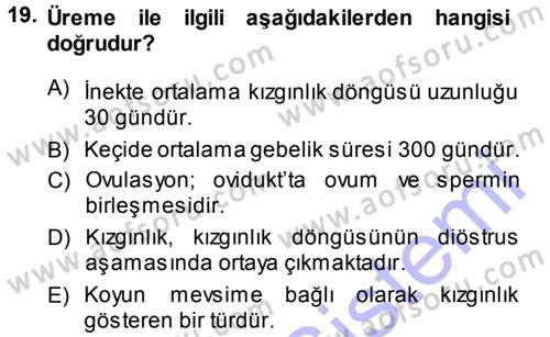 Hayvan Yetiştirme Dersi 2013 - 2014 Yılı (Vize) Ara Sınav Soruları 19. Soru