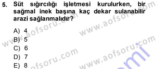 Hayvan Yetiştirme Dersi 2013 - 2014 Yılı (Vize) Ara Sınav Soruları 5. Soru