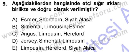 Hayvan Yetiştirme Dersi 2013 - 2014 Yılı (Vize) Ara Sınav Soruları 9. Soru