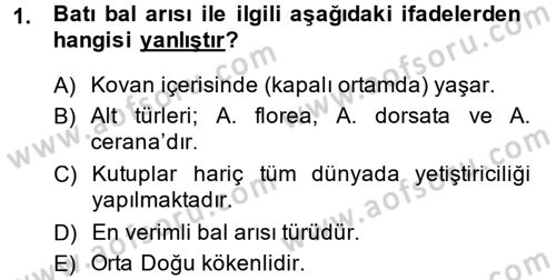 Hayvan Yetiştirme Dersi 2013 - 2014 Yılı (Final) Dönem Sonu Sınav Soruları 1. Soru