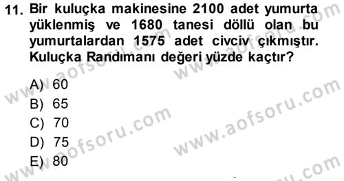 Hayvan Yetiştirme Dersi 2013 - 2014 Yılı (Final) Dönem Sonu Sınav Soruları 11. Soru