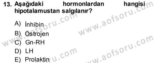 Hayvan Yetiştirme Dersi 2013 - 2014 Yılı (Final) Dönem Sonu Sınav Soruları 13. Soru