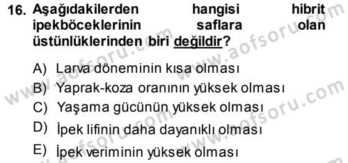 Hayvan Yetiştirme Dersi 2013 - 2014 Yılı (Final) Dönem Sonu Sınav Soruları 16. Soru