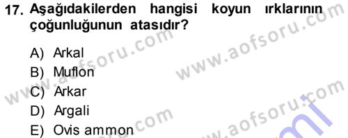Hayvan Yetiştirme Dersi 2013 - 2014 Yılı (Final) Dönem Sonu Sınav Soruları 17. Soru