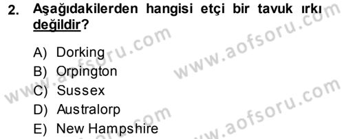 Hayvan Yetiştirme Dersi 2013 - 2014 Yılı (Final) Dönem Sonu Sınav Soruları 2. Soru