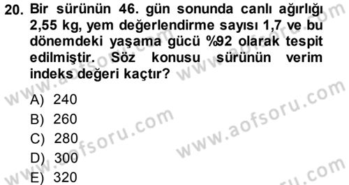 Hayvan Yetiştirme Dersi 2013 - 2014 Yılı (Final) Dönem Sonu Sınav Soruları 20. Soru