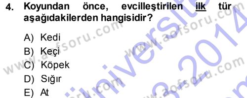 Hayvan Yetiştirme Dersi 2013 - 2014 Yılı (Final) Dönem Sonu Sınav Soruları 4. Soru