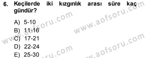 Hayvan Yetiştirme Dersi 2013 - 2014 Yılı (Final) Dönem Sonu Sınav Soruları 6. Soru