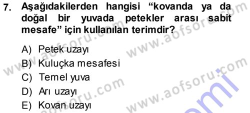 Hayvan Yetiştirme Dersi 2013 - 2014 Yılı (Final) Dönem Sonu Sınav Soruları 7. Soru