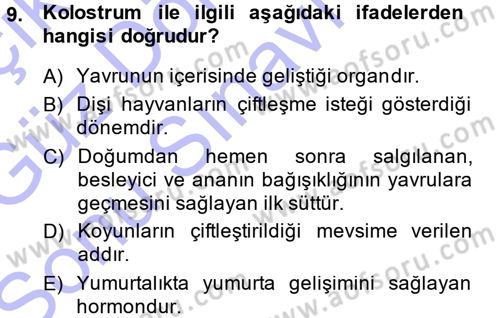 Hayvan Yetiştirme Dersi 2013 - 2014 Yılı (Final) Dönem Sonu Sınav Soruları 9. Soru