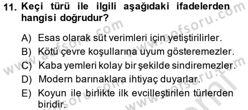 Hayvan Yetiştirme Dersi 2013 - 2014 Yılı Tek Ders Sınav Soruları 11. Soru