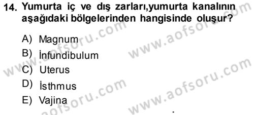Hayvan Yetiştirme Dersi 2013 - 2014 Yılı Tek Ders Sınav Soruları 14. Soru