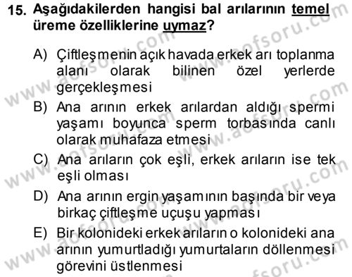 Hayvan Yetiştirme Dersi 2013 - 2014 Yılı Tek Ders Sınav Soruları 15. Soru