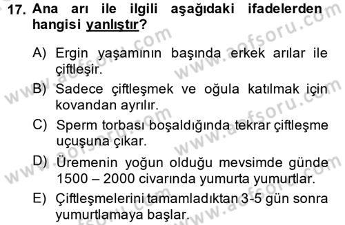 Hayvan Yetiştirme Dersi 2013 - 2014 Yılı Tek Ders Sınav Soruları 17. Soru