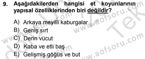 Hayvan Yetiştirme Dersi 2013 - 2014 Yılı Tek Ders Sınav Soruları 9. Soru