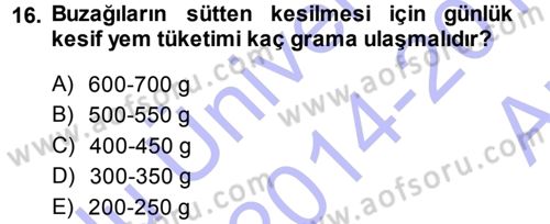 Hayvan Yetiştirme Dersi 2014 - 2015 Yılı (Vize) Ara Sınav Soruları 16. Soru