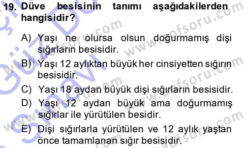 Hayvan Yetiştirme Dersi 2014 - 2015 Yılı (Vize) Ara Sınav Soruları 19. Soru