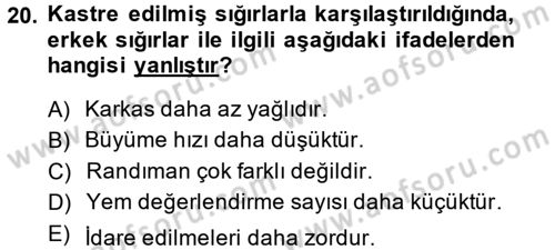 Hayvan Yetiştirme Dersi 2014 - 2015 Yılı (Vize) Ara Sınav Soruları 20. Soru