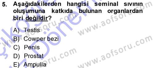 Hayvan Yetiştirme Dersi 2014 - 2015 Yılı (Vize) Ara Sınav Soruları 5. Soru