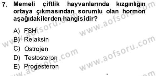 Hayvan Yetiştirme Dersi 2014 - 2015 Yılı (Vize) Ara Sınav Soruları 7. Soru
