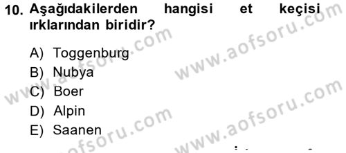 Hayvan Yetiştirme Dersi 2014 - 2015 Yılı (Final) Dönem Sonu Sınav Soruları 10. Soru