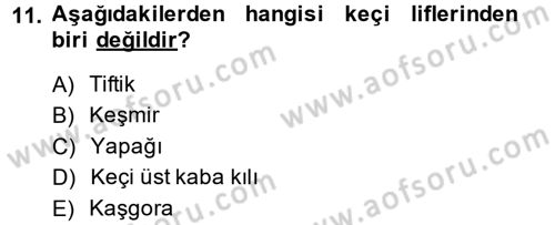 Hayvan Yetiştirme Dersi 2014 - 2015 Yılı (Final) Dönem Sonu Sınav Soruları 11. Soru