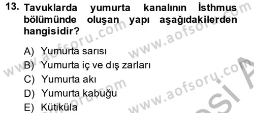 Hayvan Yetiştirme Dersi 2014 - 2015 Yılı (Final) Dönem Sonu Sınav Soruları 13. Soru