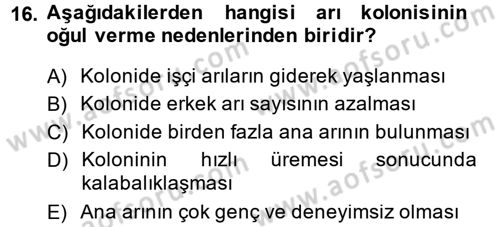 Hayvan Yetiştirme Dersi 2014 - 2015 Yılı (Final) Dönem Sonu Sınav Soruları 16. Soru