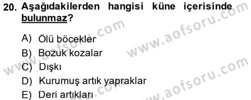 Hayvan Yetiştirme Dersi 2014 - 2015 Yılı (Final) Dönem Sonu Sınav Soruları 20. Soru