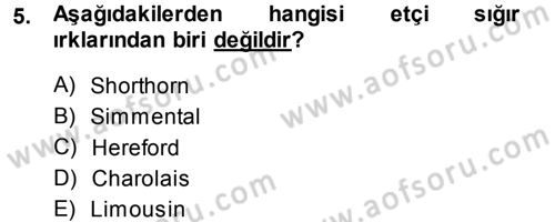 Hayvan Yetiştirme Dersi 2014 - 2015 Yılı (Final) Dönem Sonu Sınav Soruları 5. Soru