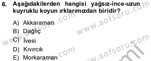 Hayvan Yetiştirme Dersi 2014 - 2015 Yılı (Final) Dönem Sonu Sınav Soruları 6. Soru