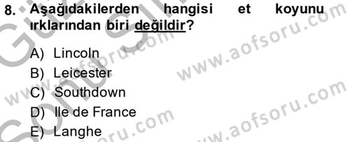 Hayvan Yetiştirme Dersi 2014 - 2015 Yılı (Final) Dönem Sonu Sınav Soruları 8. Soru