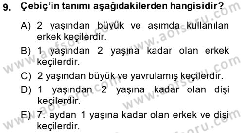 Hayvan Yetiştirme Dersi 2014 - 2015 Yılı (Final) Dönem Sonu Sınav Soruları 9. Soru