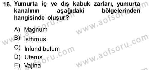 Hayvan Yetiştirme Dersi 2014 - 2015 Yılı Tek Ders Sınavı 16. Soru